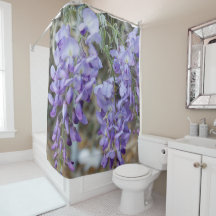 Purple Wisteria Flower in Spring with Bee Photo