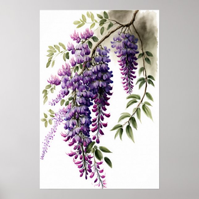 Purple Wisteria Flowers Art Print Poster (Front)