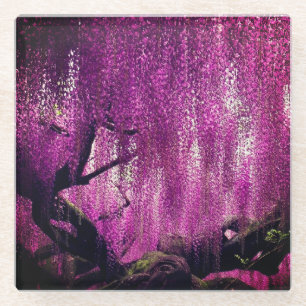 Purple Wisteria pink floral vine flower Glass Coaster