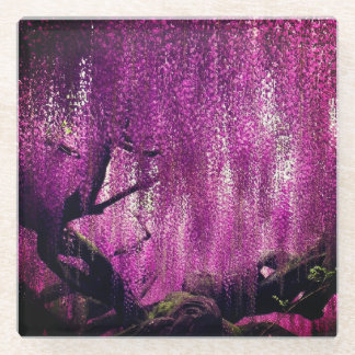 Purple Wisteria pink floral vine flower Glass Coaster