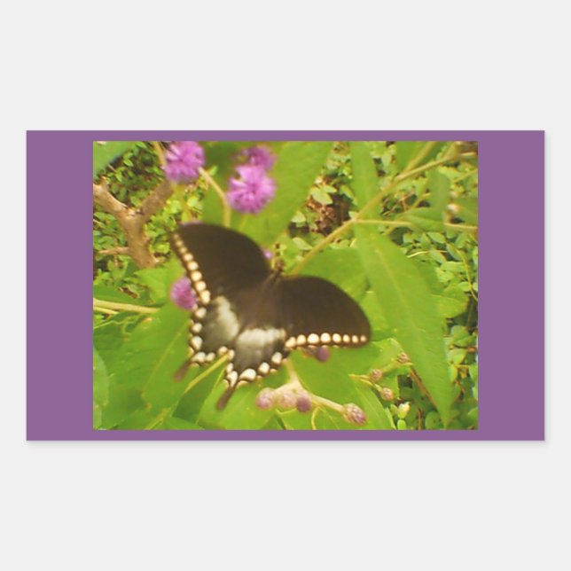 Purple Wrapped Black Monarch Sticker (Front)