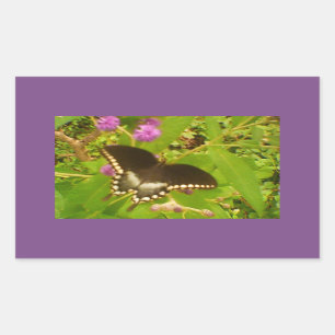 Purple Wrapped Black Monarch Sticker