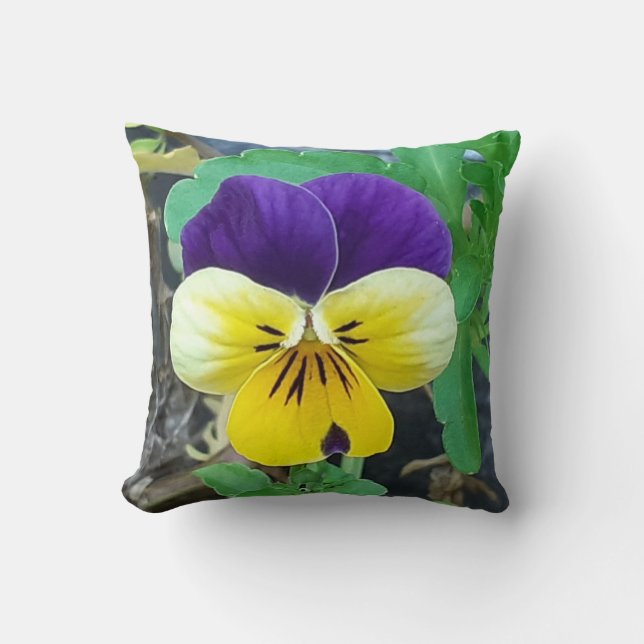 Purple & Yellow Pansy Cushion (Front)