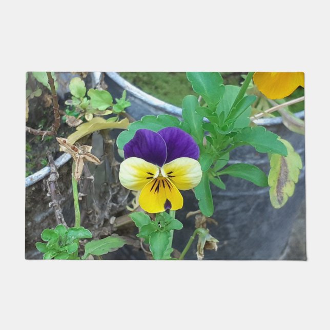 Purple & Yellow Pansy  Doormat (Front)