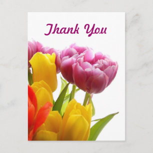 Purple & Yellow Tulips Thank You Postcards
