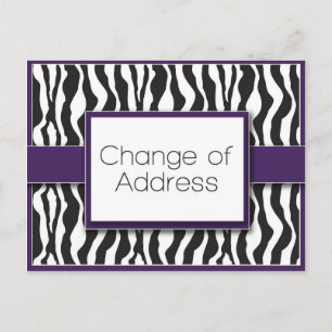Purple Zebra Print Change of Address Postcards