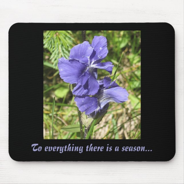 PurpleFlower, To everything there is a season... Mouse Pad (Front)