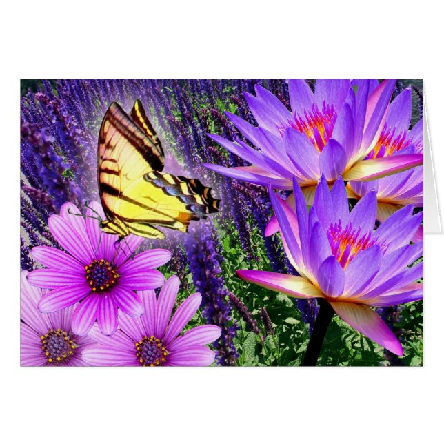 Purples In Nature (Front Horizontal)