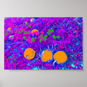 Purplish Pumpkin Field in Pop Art Style Poster