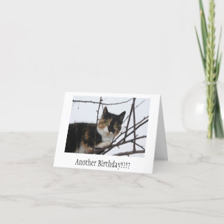 Purr-fect Birthday Card