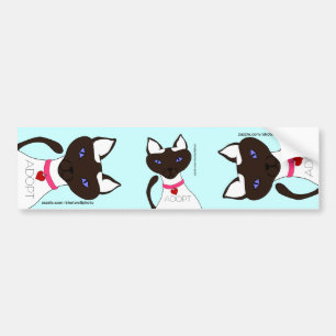Purr-fect Moira ADOPT Aqua 3-way Bumper Sticker