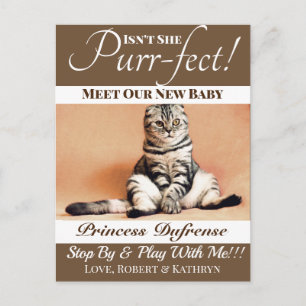 "Purr-fect" New Cat Announcement Brown Postcard