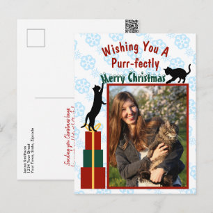 Purr-fectly Merry Christmas Playful Kitties Photo Holiday Postcard