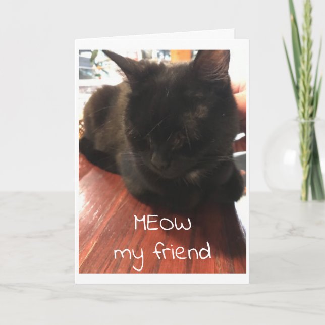 ***PURR-SUASIVE CAT*** SAYS HAPPY BIRTHDAY TO YOU CARD (Front)