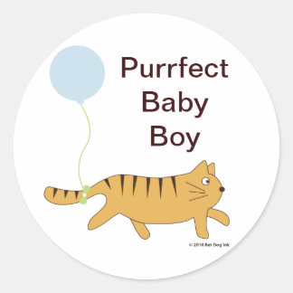 Purrfect Baby Boy Stickers