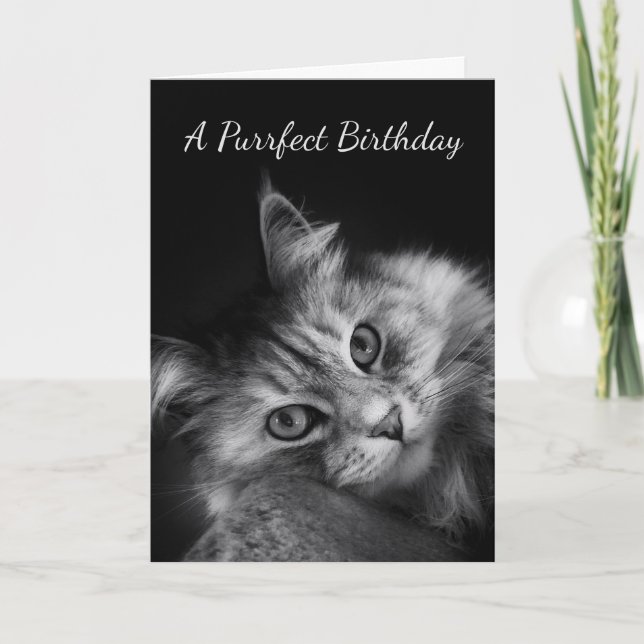 Purrfect Birthday Wishes Card (Front)