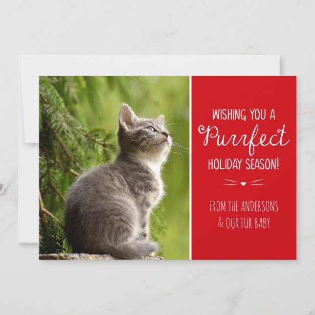Purrfect Chat Thème Carte photo de vacances (Devant)