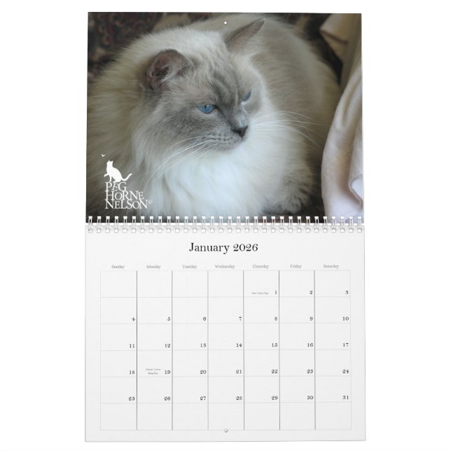 Purrfect Eyes! 2012 Cat Calendar (Jan 2026)