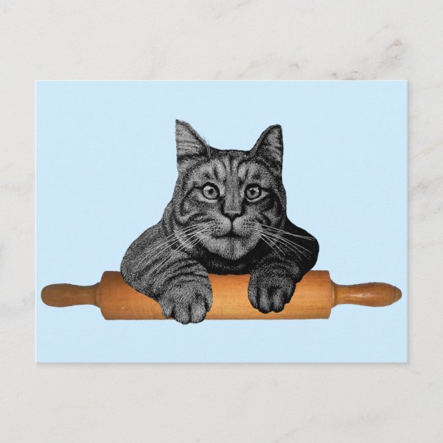 purrfect funny baker cat postcard (Front)