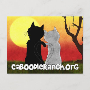 'Purrfect' Postcard