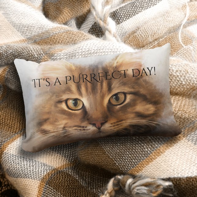 Purrfect Tabby Maine Coon Coussin de chat (A lovely pillow featuring a painting of a tabby Maine Coon cat and your custom text)