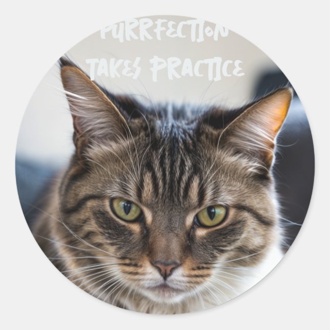 Purrfection Takes Practice Classic Round Sticker (Front)