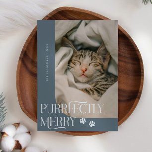 Purrfectly Merry Cat Photo Slate Blue Christmas Holiday Card