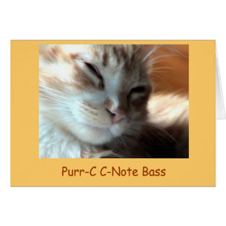 Purrfectly Purr-C, Purr-C C-Note Bass - Customized