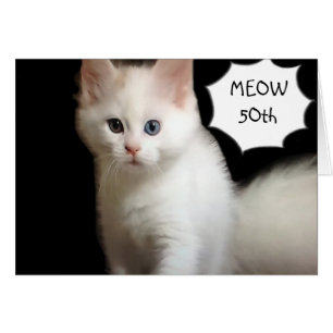 PURRING WITH DELIGHT THAT YOU ARE "50"