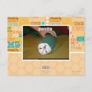 purrito postcard