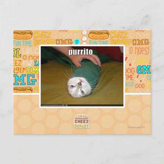 purrito postcard (Front)
