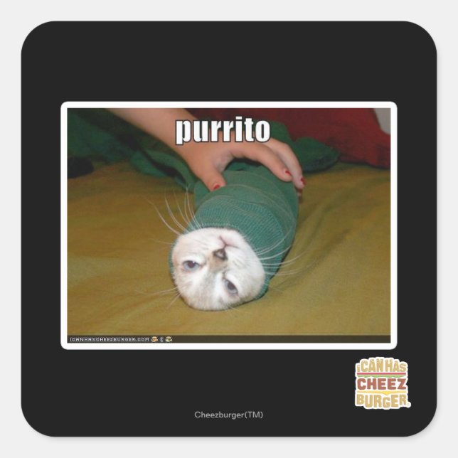 purrito square sticker (Front)