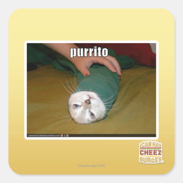 purrito square sticker (Front)