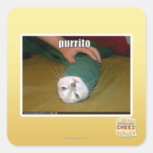 purrito square sticker