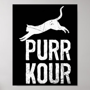 Purrkour Funny Jumping Cats Parkour Gear Poster