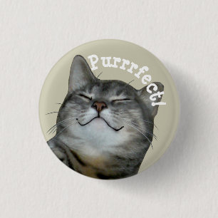 Purrrfect Smiling smug kitty cat 1 Inch Round Button