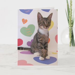 Purrrfect Valentine Holiday Card