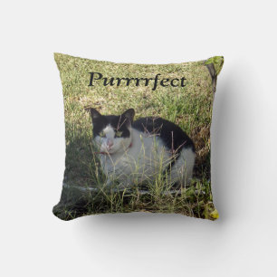 Purrrrfect Black And White Cat, Throw Pillow