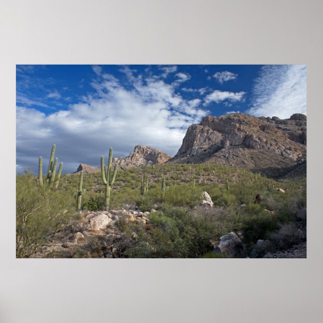 Pusch Ridge Landscape Poster (Front)