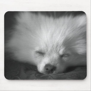 push off... i iz havin' a break mousemat mouse pad