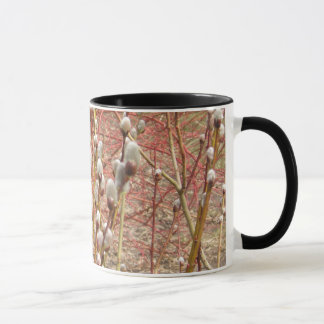 pussy willows in springtime mug