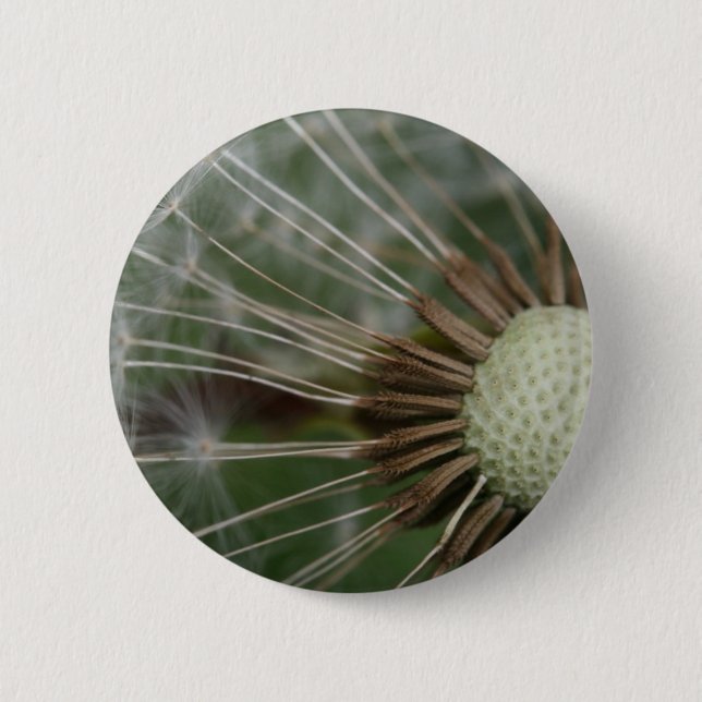 pusteblume 2 inch round button (Front)