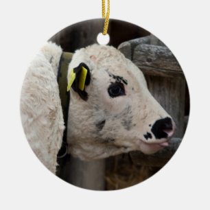 Pustertal Pied Calf Ceramic Ornament