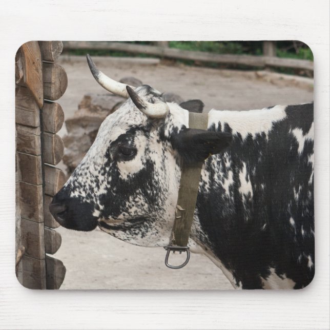 Pustertal Pied Cow Mouse Pad (Front)