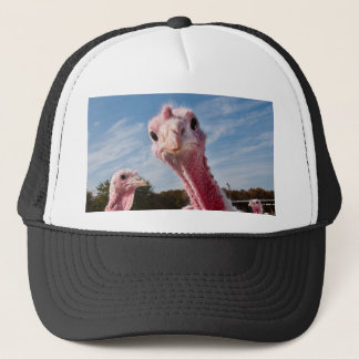 Put my head where? trucker hat