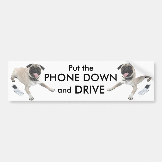 Put The Phone Down And Drive Bumper Sticker (Front)