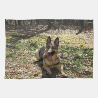 Put your baby on a mojo hand towel