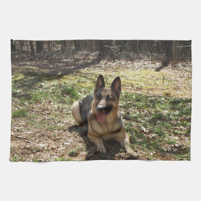 Put your baby on a mojo hand towel (Horizontal)