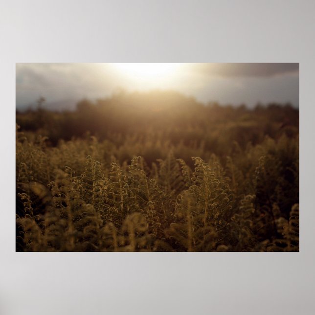 Putney Mountain Sunset Poster (Front)