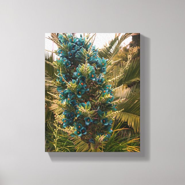 Puya Berteroniana #1 Canvas (Front)